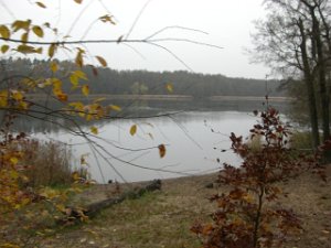 CTF-Seefeld 2008 100
